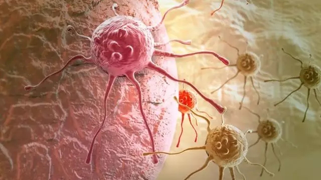 癌癥、白血病越來越多，是因?yàn)闀r(shí)代在進(jìn)步而導(dǎo)致的嗎？